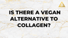 /blogs/all/is-there-a-vegan-alternative-to-collagen