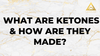 /blogs/all/what-are-ketones-how-are-they-made