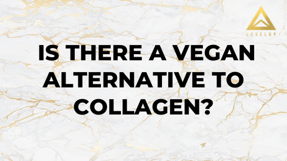 Is there a vegan alternative to collagen?