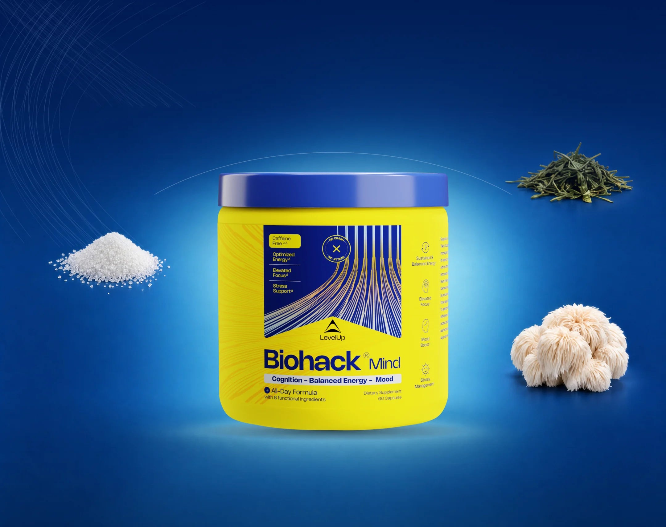 Biohack Mind jar with paraxanthine, theacrine and lion’s mane